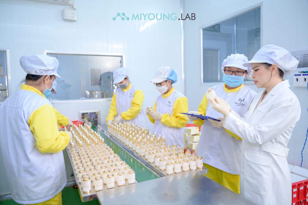 MiYoung Lab hỗ trợ đồng hành cố vấn chiến lược 